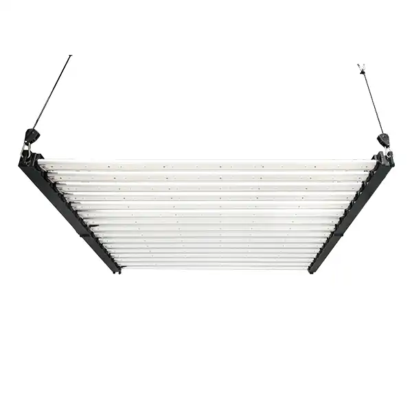 16 แถบ 1000W ขายส่งเต็มสเปกตรัม LED เติบโตไฟสำหรับอุตสาหกรรมเติบโต - LX-GLM120-16 