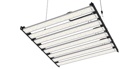 1000W ไฟ LED เติบโต 