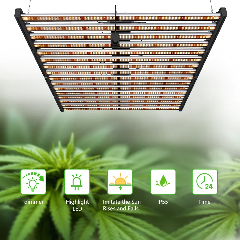 Importance of LED grow lights for plant growth